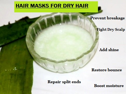 10 Fantastic DIY Hair Masks For Dry Hair - thebeautymadness