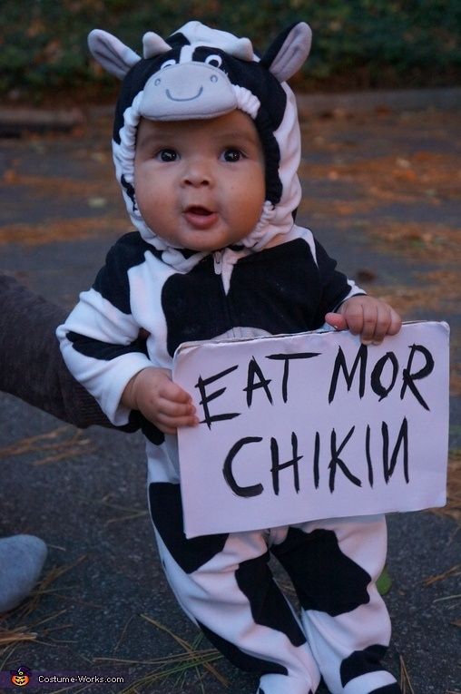 Chik-fil-A Cow - Halloween Costume Contest at Costume-Works.com