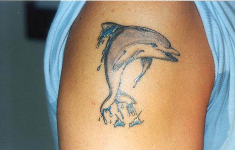 30 Cute Dolphin Tattoos For Men And Women