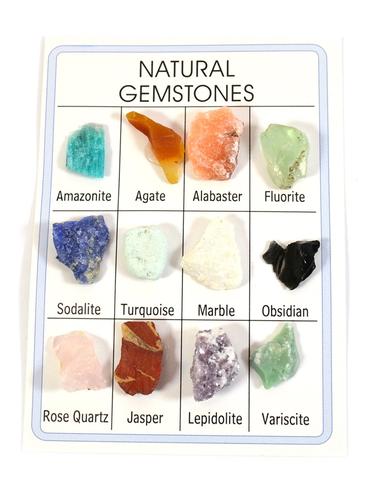 Pocket Reference Natural Gemstone Card with 12 Identified Specimens