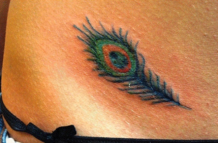 Small Peacock Feather Tattoo Tattoo Ideas - TattooMagz