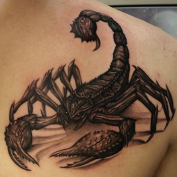 Scorpion Tattoo Meanings | iTattooDesigns.com