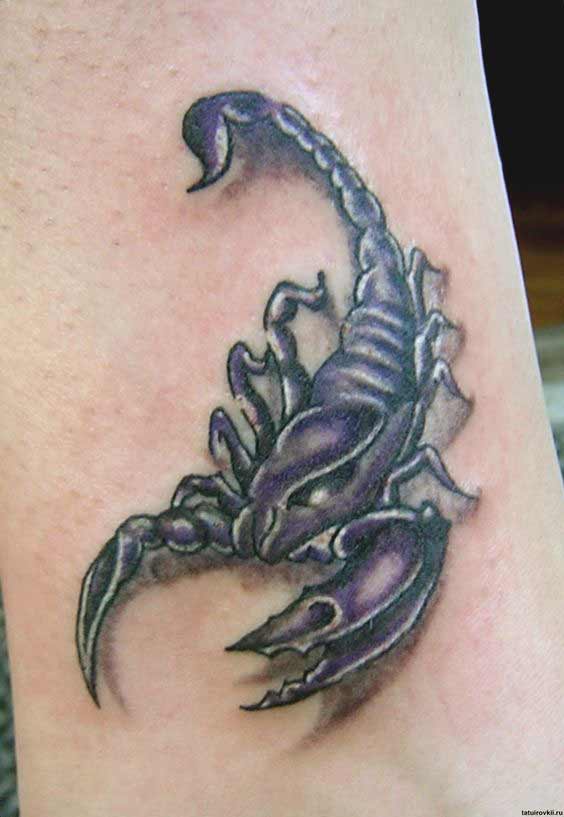 55 Best Scorpio Tattoos Designs and Ideas With Meaning