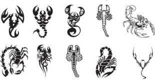 Different scorpion tattoo ideas | |TATTOOS| | Tattoos, Tattoo