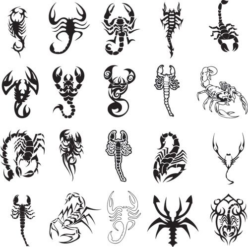 Scorpion Tattoo Ideas