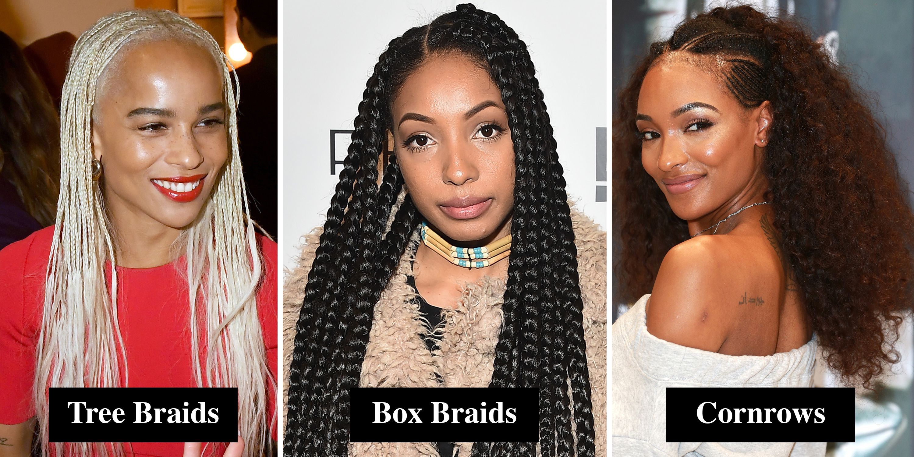 Braids and Twists 2019 - 14 hairstyles from crochet and box braids