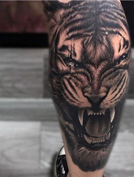 100 Tiger Tattoo Designs For Men - King Of Beasts And Jungle | Tat