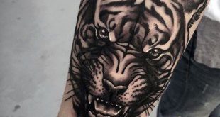 100 Tiger Tattoo Designs For Men - King Of Beasts And Jungle | 老虎